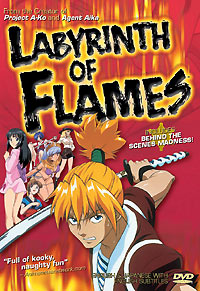 [Labyrinth of Flames box art]